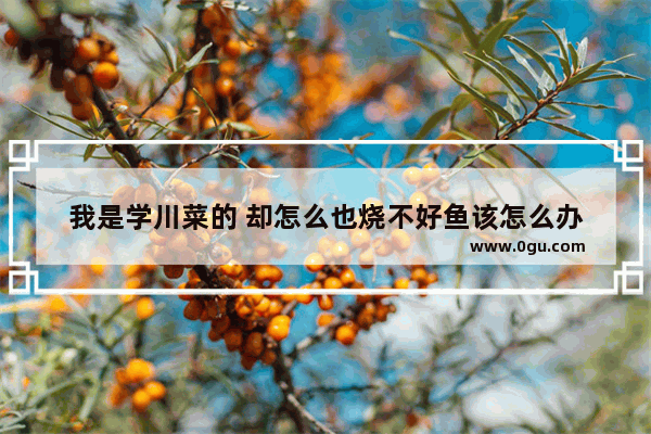 我是学川菜的 却怎么也烧不好鱼该怎么办