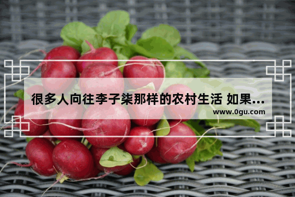 很多人向往李子柒那样的农村生活 如果放弃所有过那样的日子你愿意吗