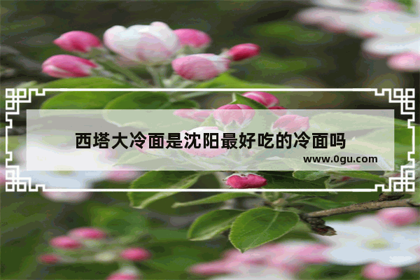 西塔大冷面是沈阳最好吃的冷面吗