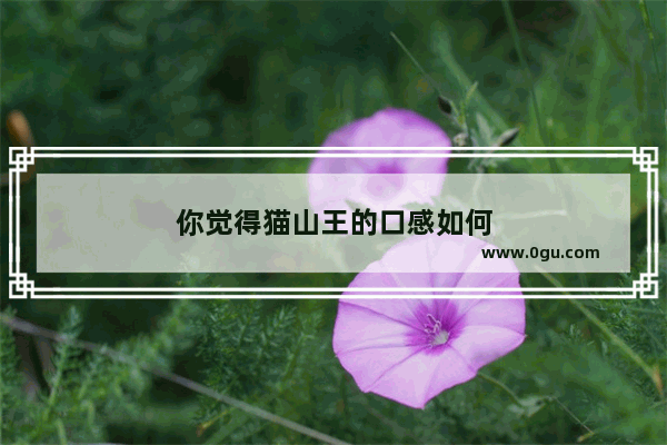 你觉得猫山王的口感如何