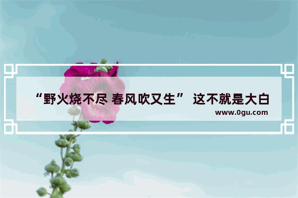 “野火烧不尽 春风吹又生” 这不就是大白话吗？为何感觉意境深远