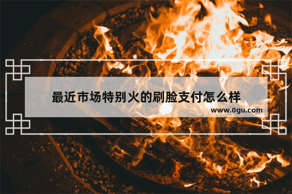 最近市场特别火的刷脸支付怎么样