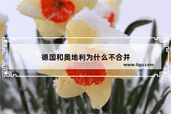 德国和奥地利为什么不合并