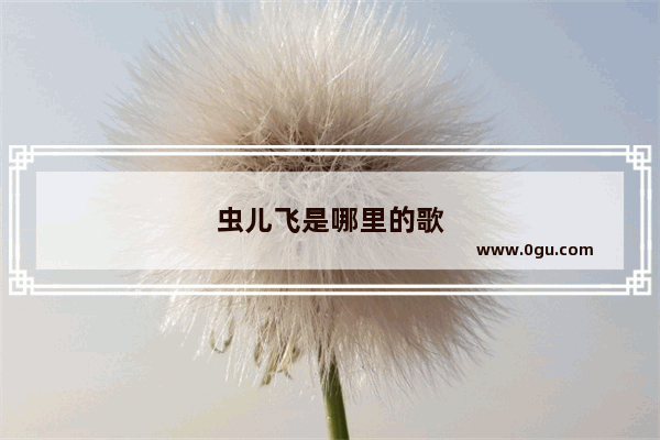虫儿飞是哪里的歌