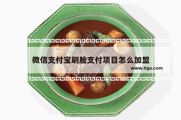 微信支付宝刷脸支付项目怎么加盟