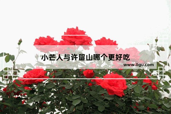 小芒人与许留山哪个更好吃