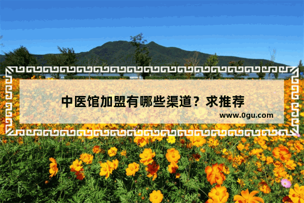 中医馆加盟有哪些渠道？求推荐