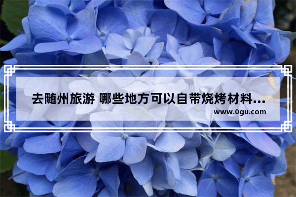 去随州旅游 哪些地方可以自带烧烤材料？有哪些攻略推荐