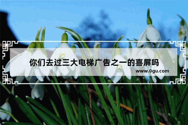 你们去过三大电梯广告之一的喜屏吗