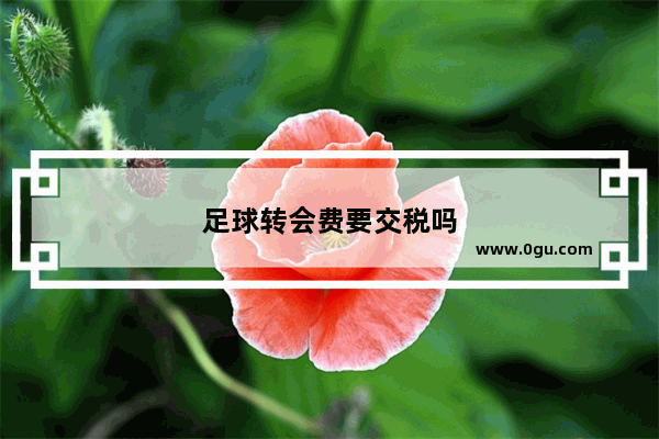 足球转会费要交税吗