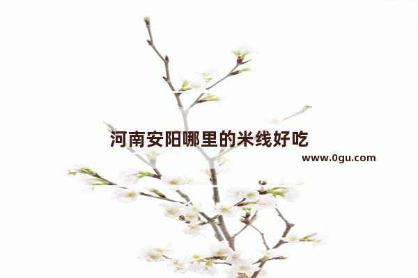 河南安阳哪里的米线好吃