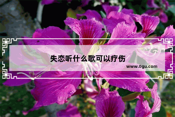 失恋听什么歌可以疗伤
