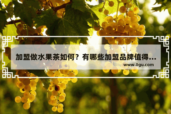 加盟做水果茶如何？有哪些加盟品牌值得推荐