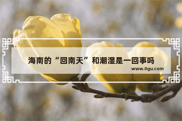 海南的“回南天”和潮湿是一回事吗