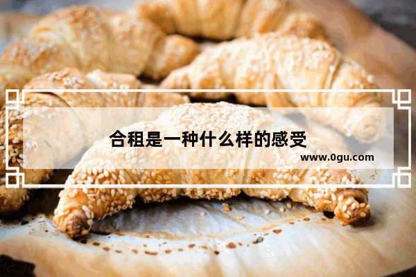 合租是一种什么样的感受