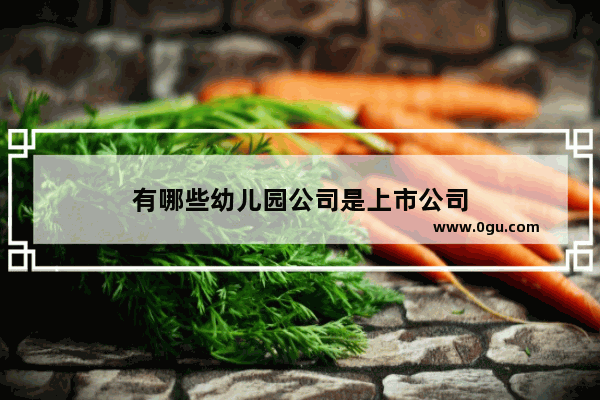 有哪些幼儿园公司是上市公司