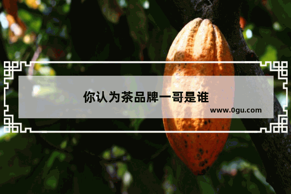你认为茶品牌一哥是谁