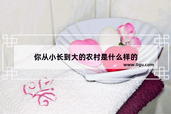 你从小长到大的农村是什么样的
