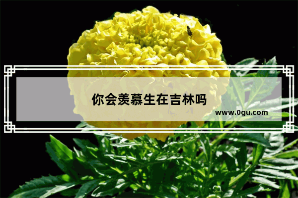 你会羡慕生在吉林吗