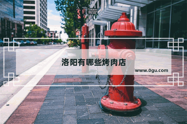 洛阳有哪些烤肉店