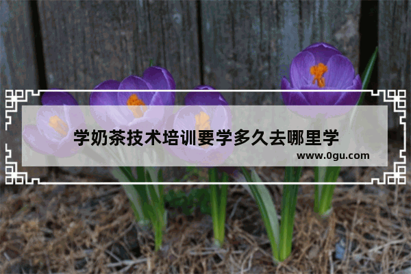 学奶茶技术培训要学多久去哪里学