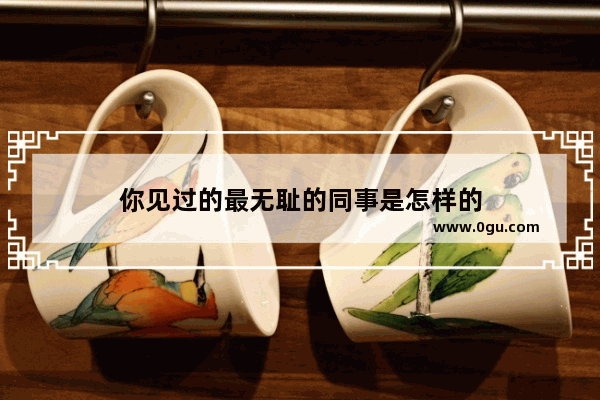 你见过的最无耻的同事是怎样的