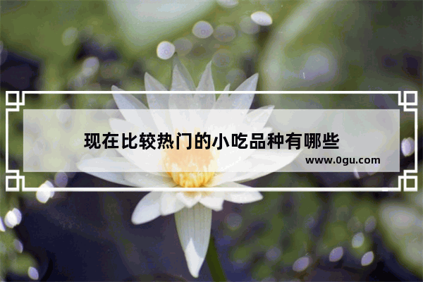 现在比较热门的小吃品种有哪些