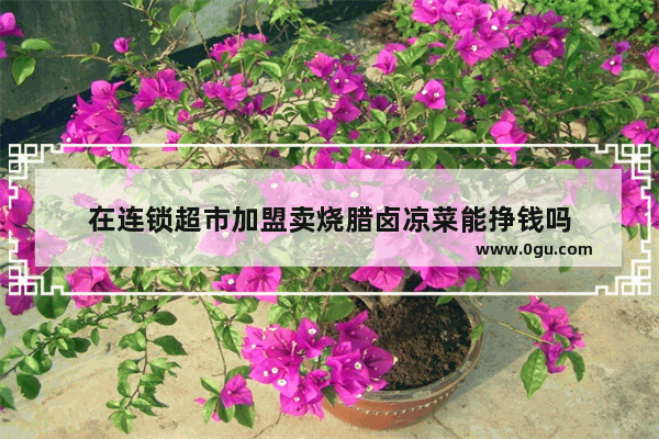 在连锁超市加盟卖烧腊卤凉菜能挣钱吗