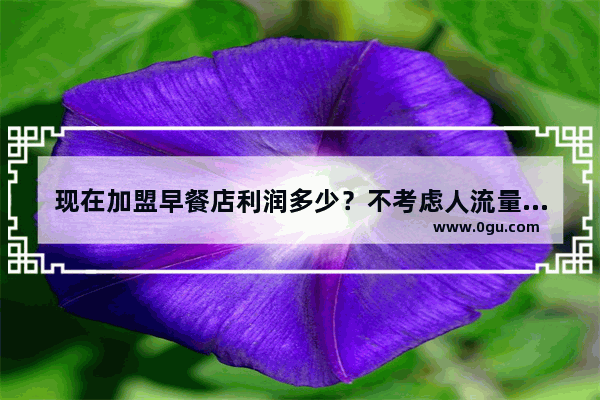 现在加盟早餐店利润多少？不考虑人流量 一个包子多少利润