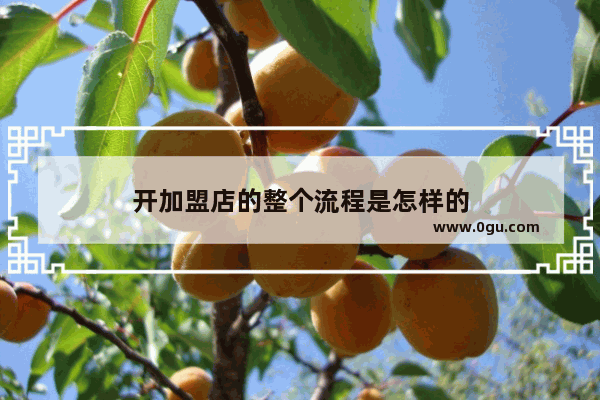开加盟店的整个流程是怎样的