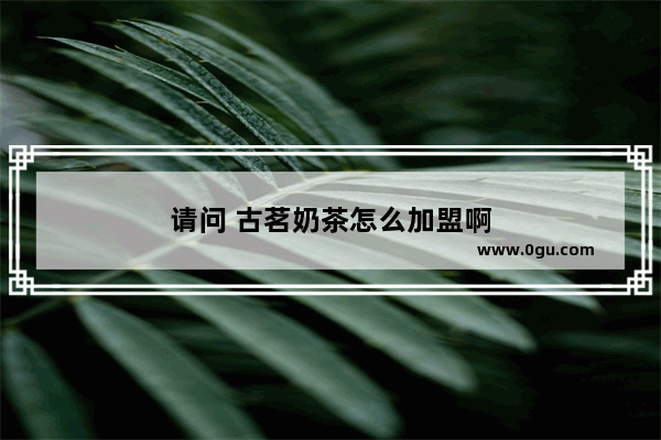 请问 古茗奶茶怎么加盟啊
