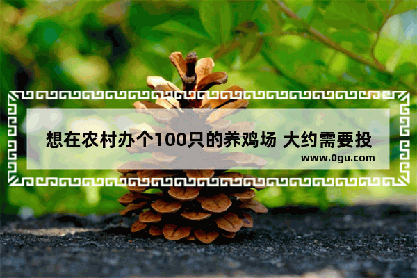 想在农村办个100只的养鸡场 大约需要投资多少钱