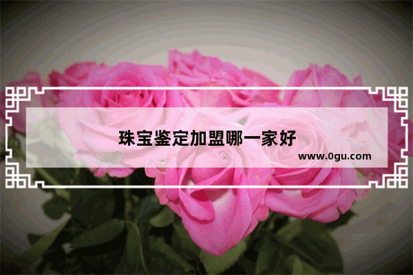 珠宝鉴定加盟哪一家好