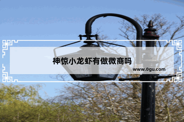 神惊小龙虾有做微商吗