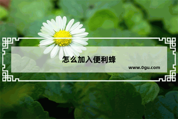 怎么加入便利蜂