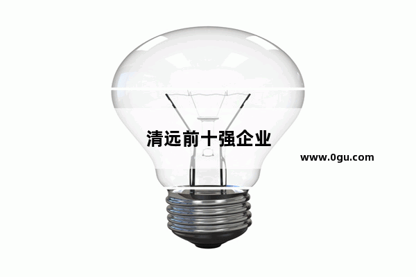 清远前十强企业