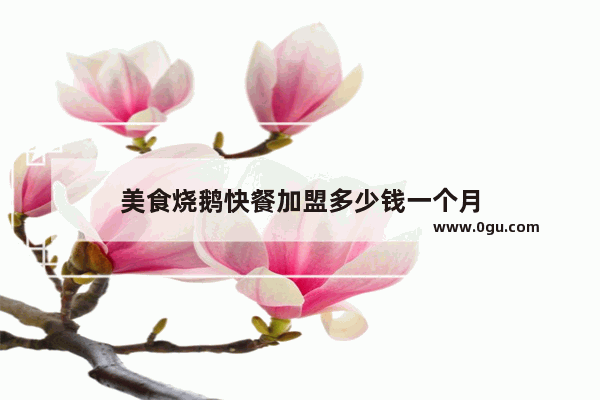美食烧鹅快餐加盟多少钱一个月
