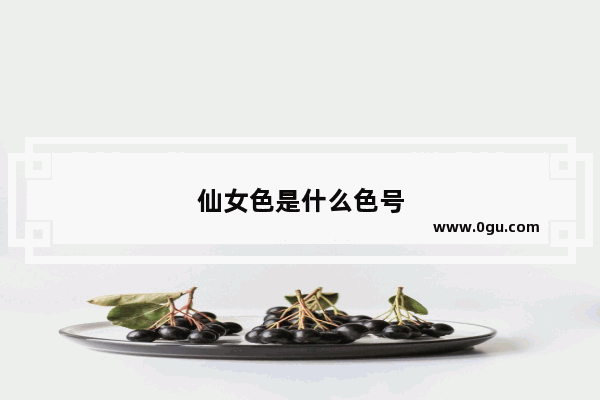 仙女色是什么色号