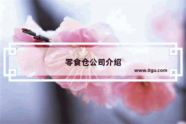 零食仓公司介绍