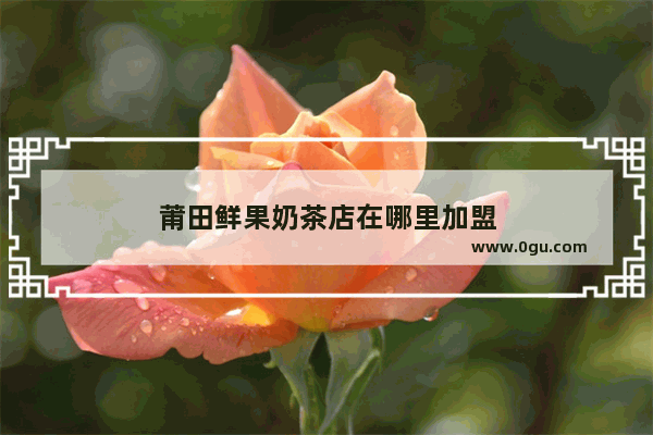 莆田鲜果奶茶店在哪里加盟