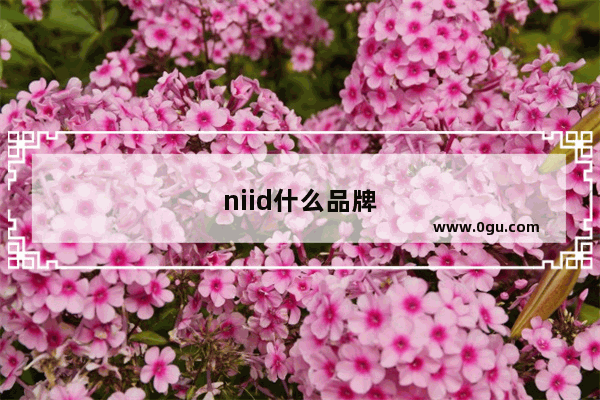 niid什么品牌