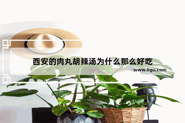 西安的肉丸胡辣汤为什么那么好吃