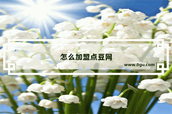 怎么加盟点豆网