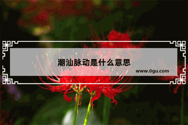 潮汕脉动是什么意思