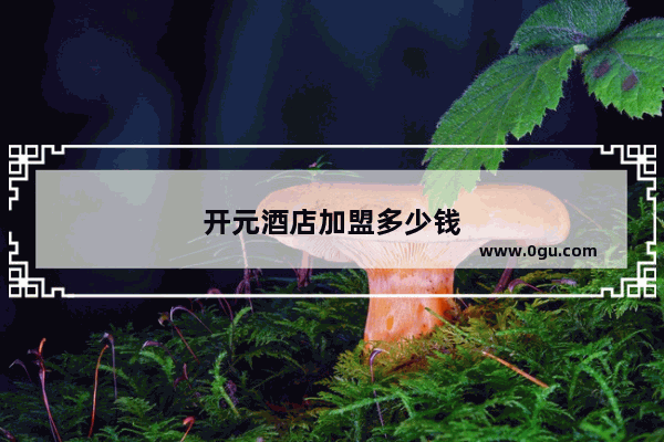 开元酒店加盟多少钱