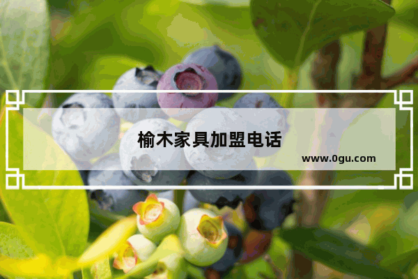 榆木家具加盟电话