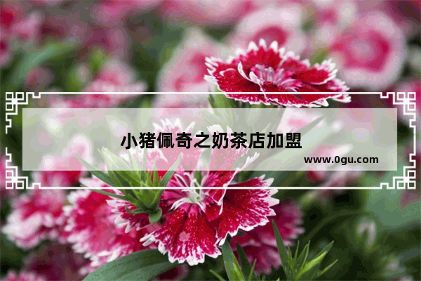 小猪佩奇之奶茶店加盟