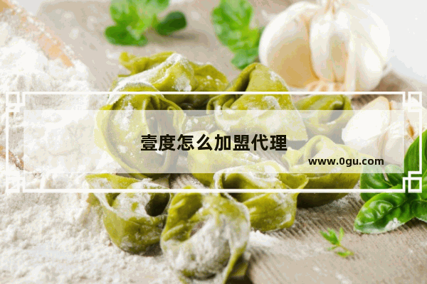 壹度怎么加盟代理