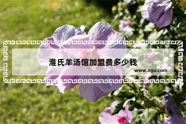 淮氏羊汤馆加盟费多少钱