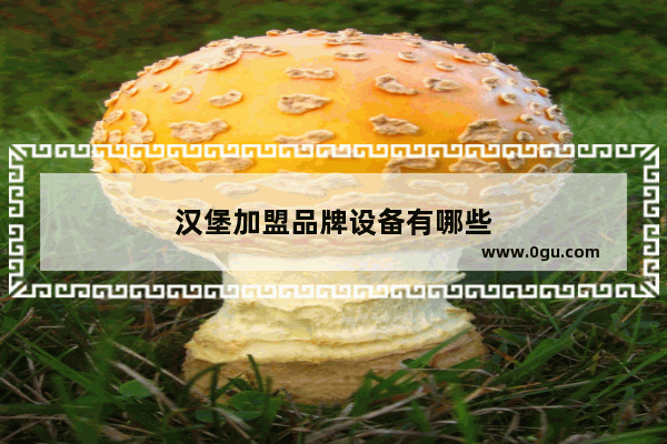 汉堡加盟品牌设备有哪些